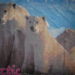 АРКТИКА (белые медведи) ширина 220см, бязь-3