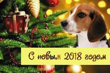2018 год собаки, с новым годом, постельное белье с собаками