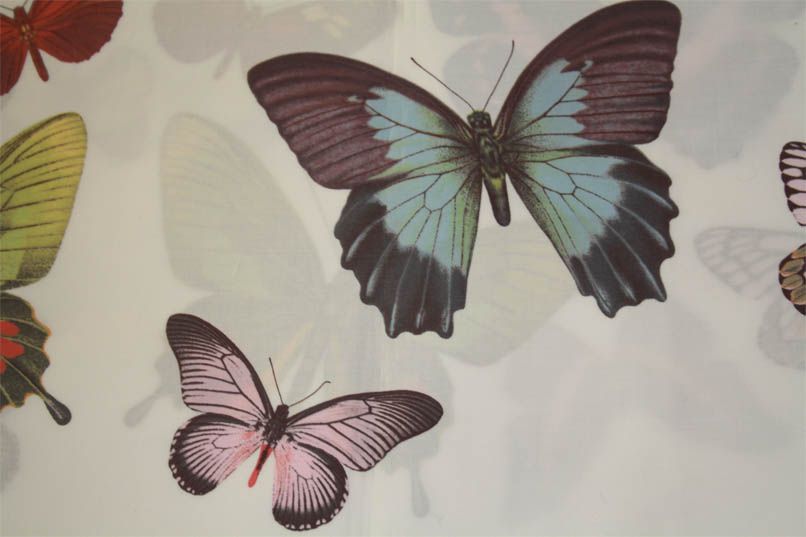 постельное белье фишбахер, с бабочками, белое, коттон дримс таити